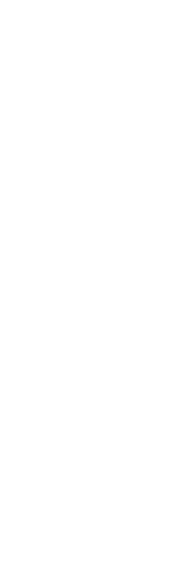 清新の業見目美しき